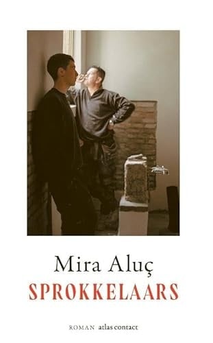 Sprokkelaars roman