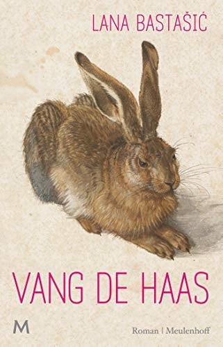 Vang de haas roman