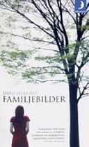 Familjebilder roman