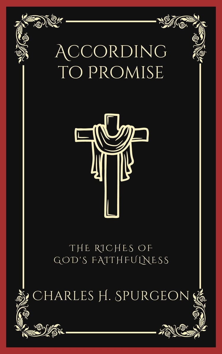According to Promise: The Riches of God's Faithfulness (Grapevine Press)