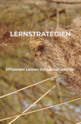 Lernstrategien effizienter Lernen mit Lernstrategien