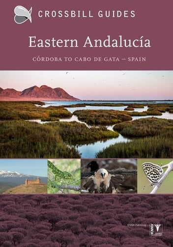 Eastern Andalucia Cordoba to Cabo de Gata - Spain
