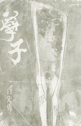 Nie zi (Crystal Boys, in traditional Chinese, NOT in English)