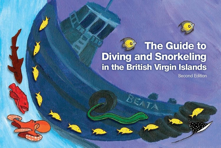The Guide to Diving and Snorkeling in the British Virgin Islands, Second Edition by Jeff Williams (2010-05-03)