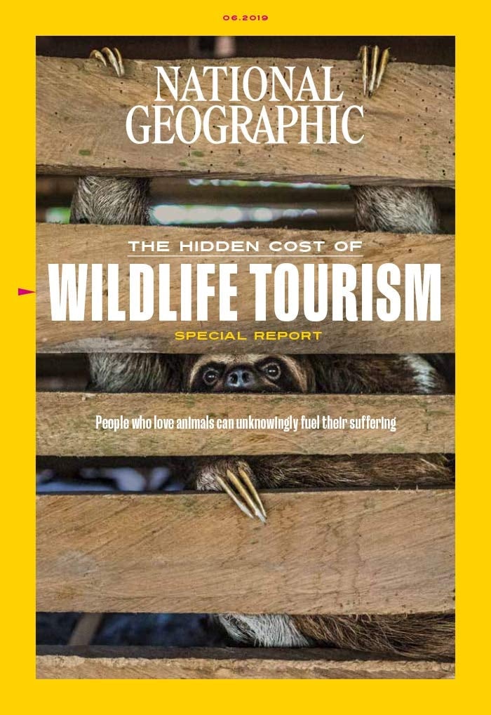 National Geographic Magazine (June, 2019) The Hidden Cost Of Wildlife Tourism