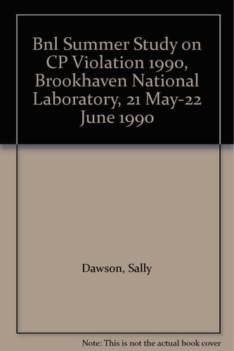 CP Violation The BNL Summer Study
