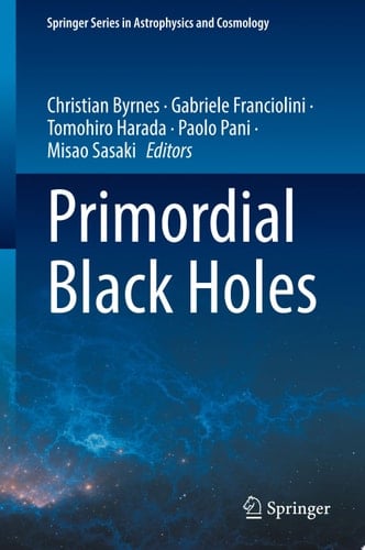 Primordial Black Holes