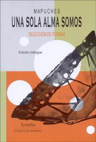 Una Sola Alma Somos (Spanish Edition)
