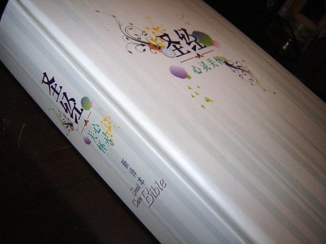 CNV Soul Care Study Bible / Chinese Language Edition / Chinese New Version Counseling Bible / Simplified Characters / Shen Edition / The Soul Care Bible Experiencing And Sharing Hope God's Way