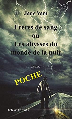 Frères de sang ou Les abysses du monde de la nuit roman