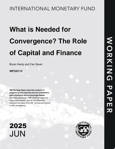 What is Needed for Convergence? The Role of Capital and Finance