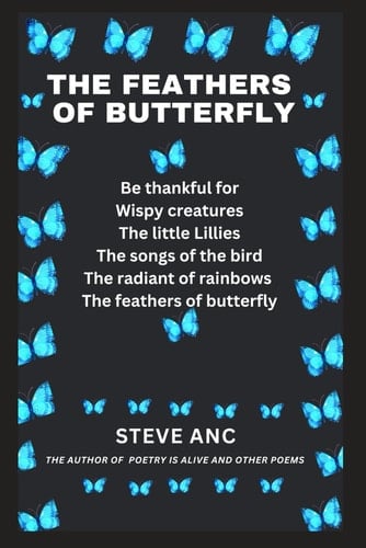 The Feathers of Butterfly Poetry of Life, Light and Brokenness