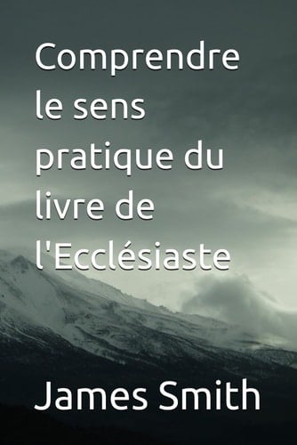 Comprendre le sens pratique du livre de l'Ecclésiaste (French Edition)