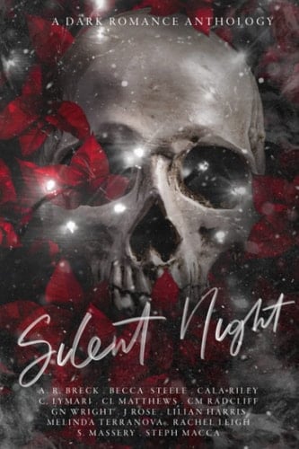 Silent Night: A Dark Romance Anthology