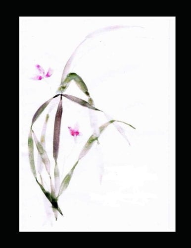 The Magnolia Review: Volume 2, Issue 2