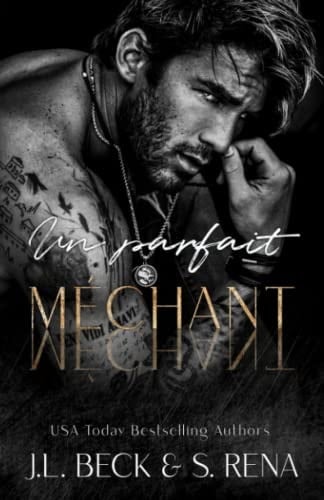 Un parfait méchant: Mafia et Dark Romance (French Edition)
