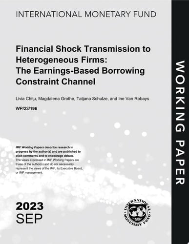 Financial Shock Transmission to Heterogeneous Firms: The Earnings-Based Borrowing Constraint Channel