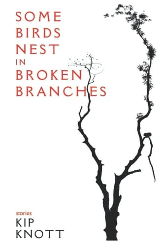 Some Birds Nest in Broken Branches