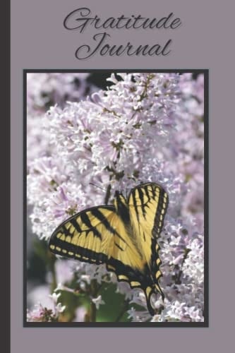 Butterfly Gratitude Journal Notebook Diary: Daily Gratitude Journal