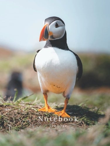 Puffin 8.5" x 11.0" A4 Notebook | Wildlife Photography | 120 Page Lined Notebook: Puffin Photography Notebook (Steven Murphy Photography Products)