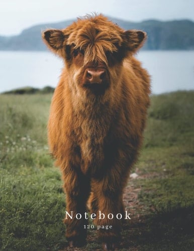Highland Cow 8.5" x 11.0" A4 Notebook | Animal Photography | 120 Page Lined Notebook: Animal Photography Notebook (Steven Murphy Photography Products)