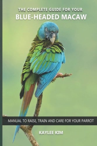 The complete guide for your Blue-headed Macaw: Manual to raise, train and care for your parrot