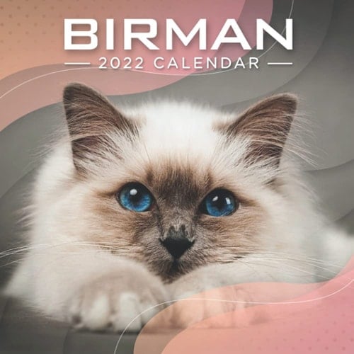 Birman 2022 Calendar: 12 Months 2022