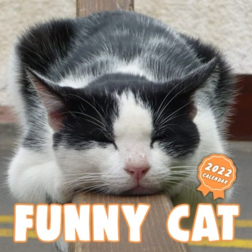 Funny Cat Calendar 2022: Squared Monthly Calendar Mini Planner January 2022 to December 2022 bonus last 4 months 2021 | Gift for Cat Person and Animal Lover | Classroom, Home, Office