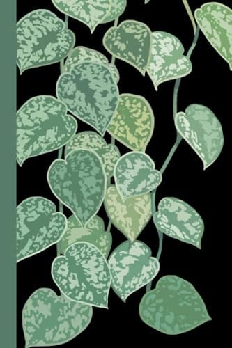 Notebook: Blank Lined Satin Pothos Plant 150 Pages
