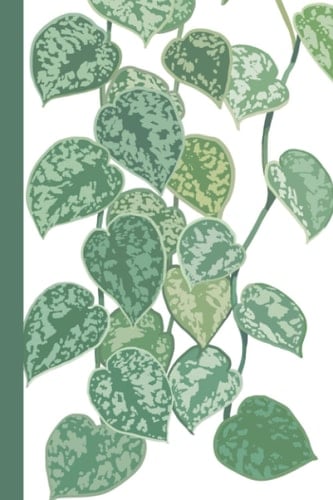 Notebook: Blank Lined Satin Pothos Plant White Cover