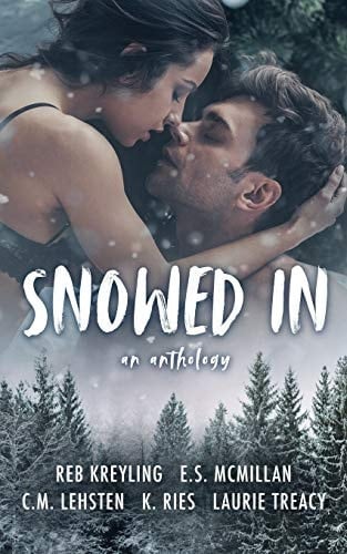 Snowed In An Anthology
