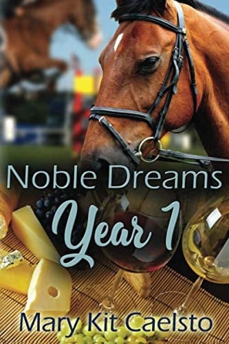 Noble Dreams Year 1: A Boxed Set Books 1-5