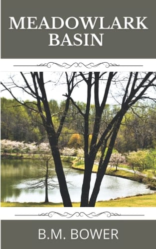 Meadowlark Basin: 1925 Classic!