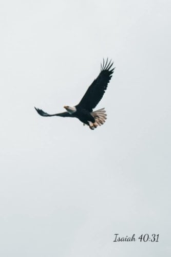 Eagle Journal: Devotional and Prayer Journal: Daily Journaling