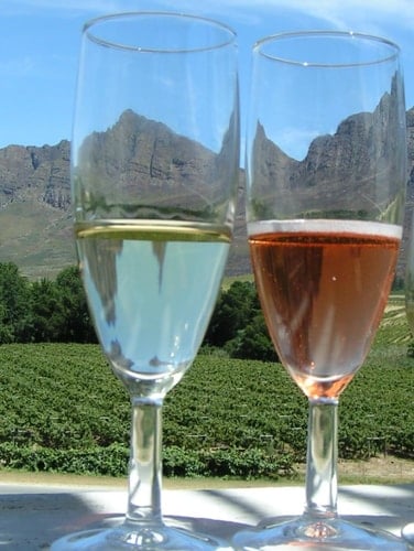 Verso vida y vino (Poemas) (Spanish Edition)