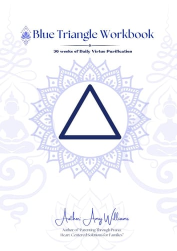 Blue Triangle Workbook