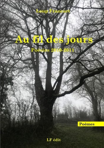 Au fil des jours: Poésies 2010-2011 (French Edition)