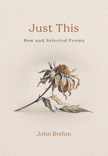 Just This New and Selected Poems