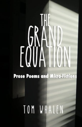 The Grand Equation Prose Poems and Micro-Fictions