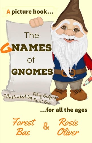 The Names of Gnomes: A picture book for all the ages