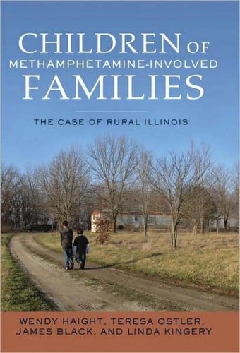 Children of methamphetamine-involved families