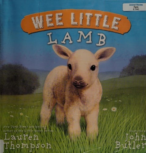 Wee little lamb