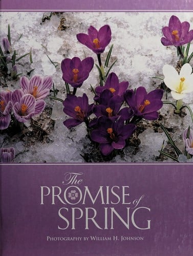 The promise of spring