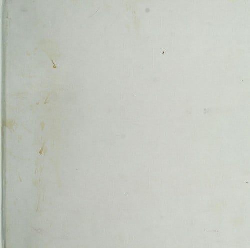 The rise of the mammals