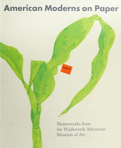 American moderns on paper