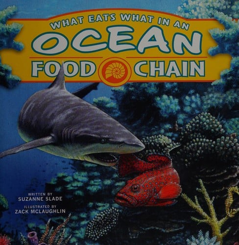 What eats what in an ocean food chain?