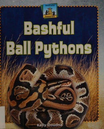Bashful ball pythons