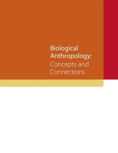 Biological anthropology