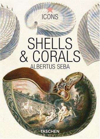 Shells & corals =
