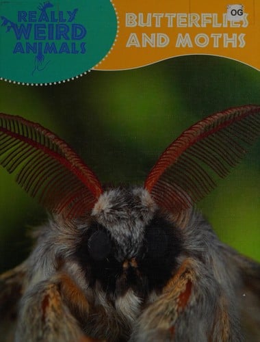 Butterflies and moths
